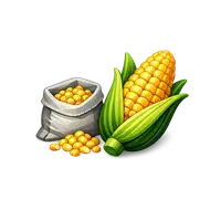 بذر ذرت علوفه ای