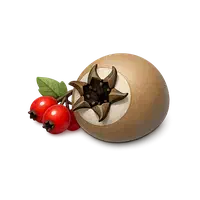میوه کمیاب و محلی