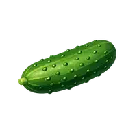 خیار