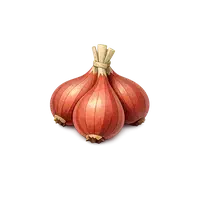 موسیر