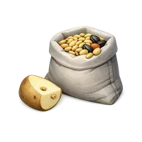 بذر محصولات زراعی