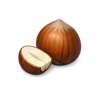 فندق