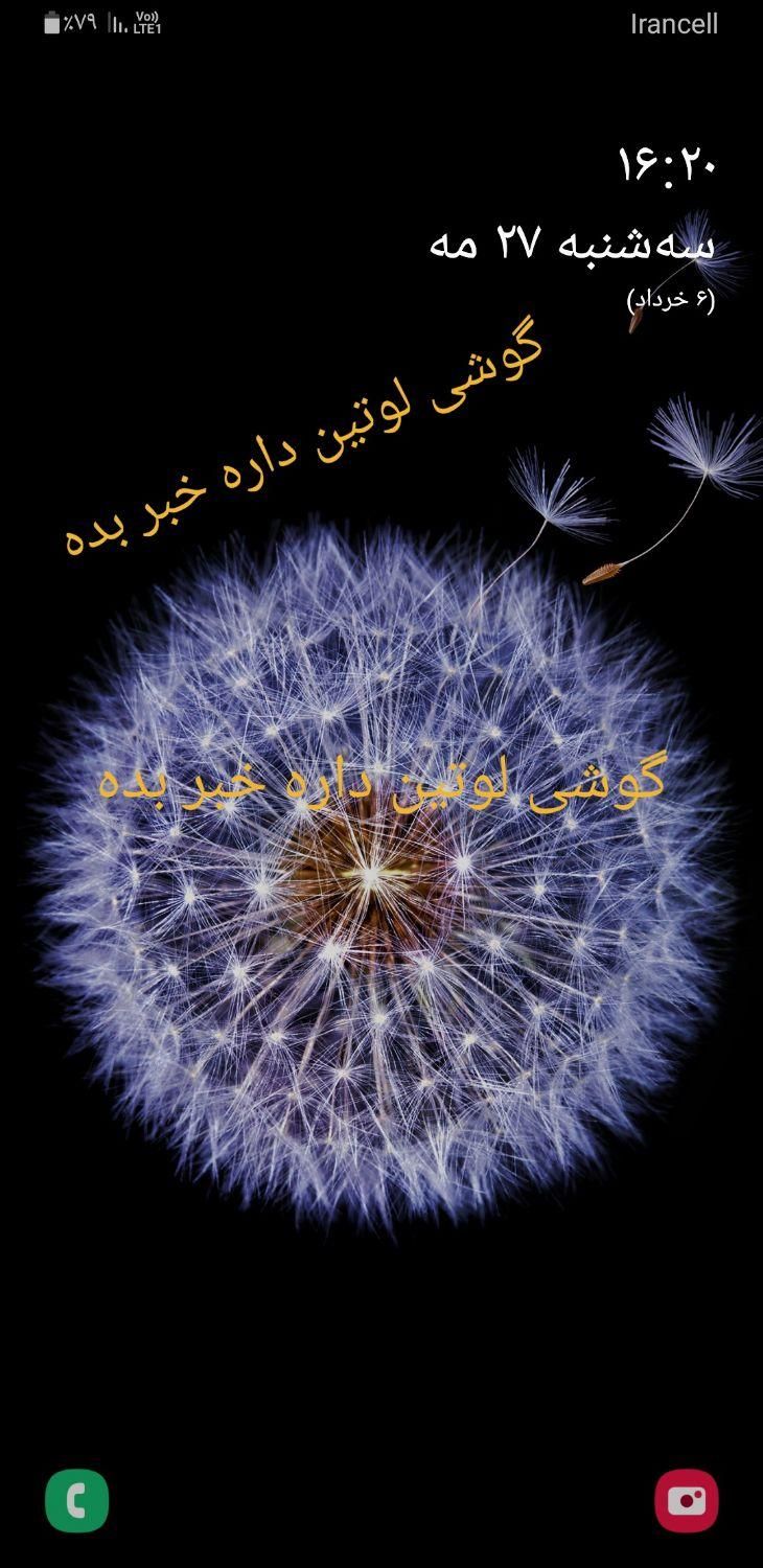 گمشده گوشی لوتین|اشیا|ایرانشهر, |دیوار