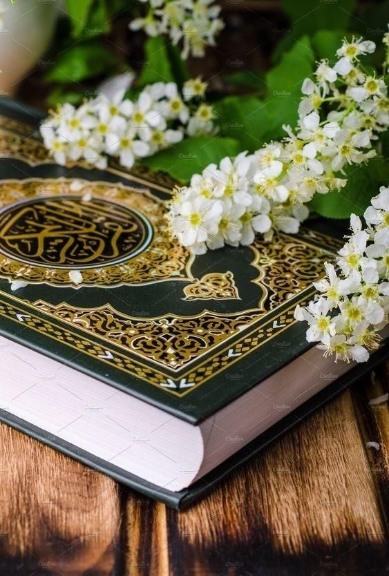 نماز و روزه و ختم قرآن اموات.طلبه و قاری قرآنم|خدمات پذیرایی، مراسم|مشهد, حرم مطهر رضوی|دیوار