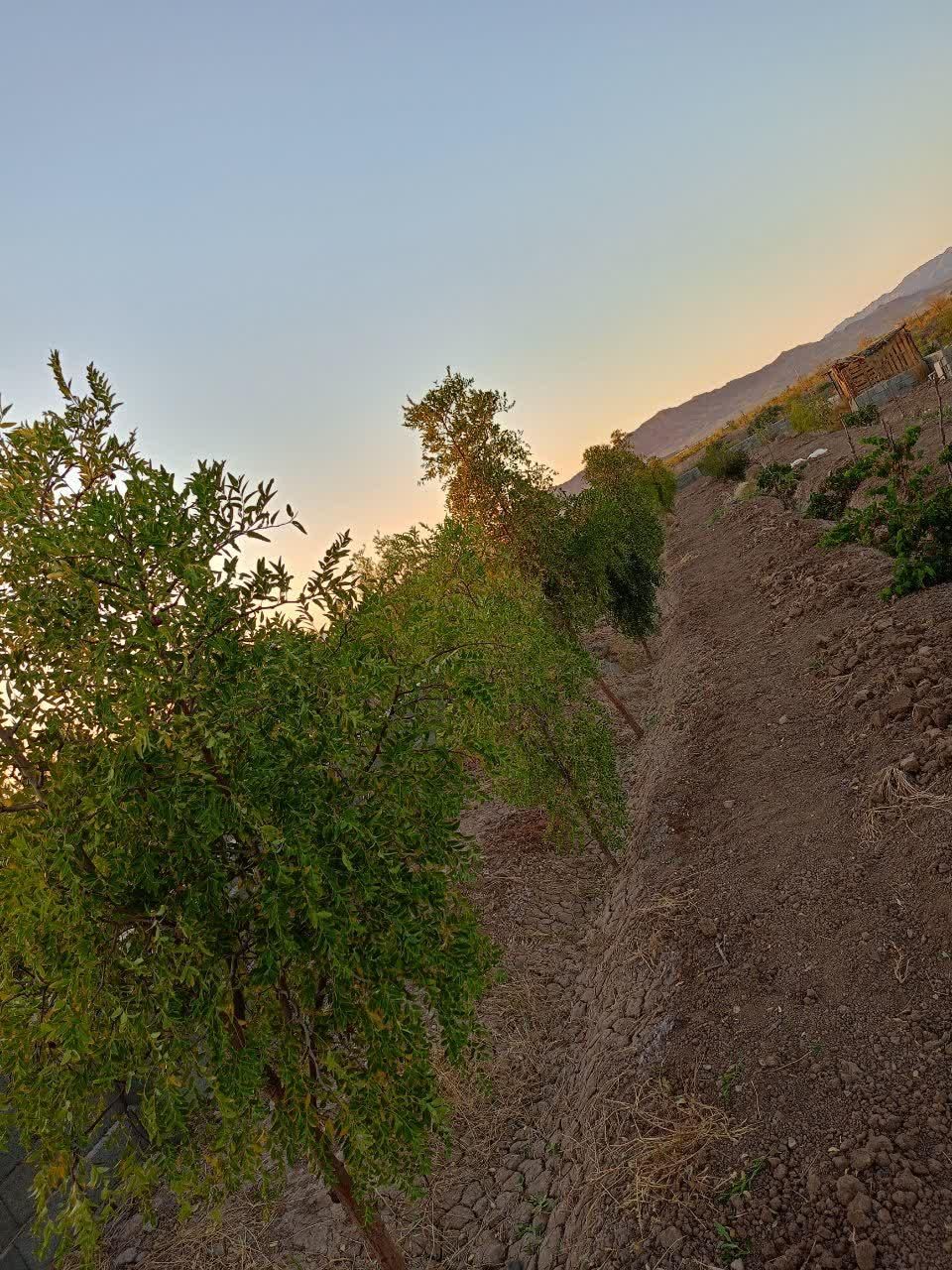 تصویر 4