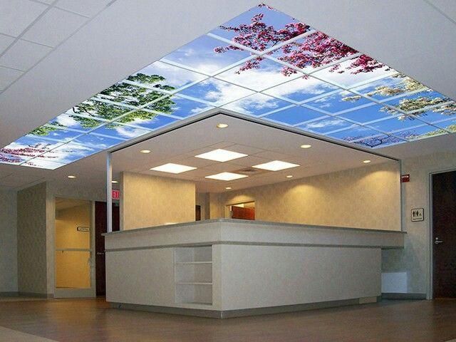 سقف استخر و سقف لمبه و سقف شبکه|خدمات پیشه و مهارت|تنکابن, |دیوار