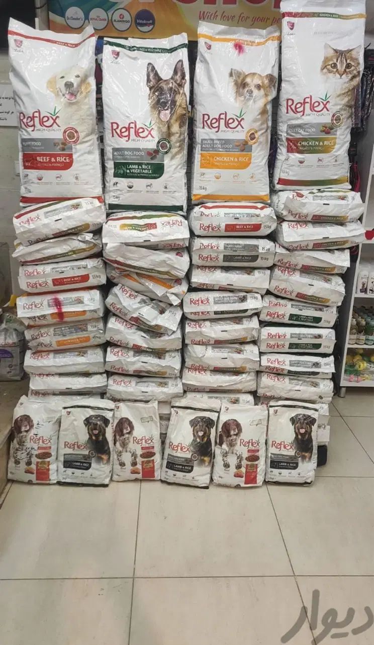 Reflex خشک|لوازم جانبی حیوانات|مشهد, گلبرگ|دیوار
