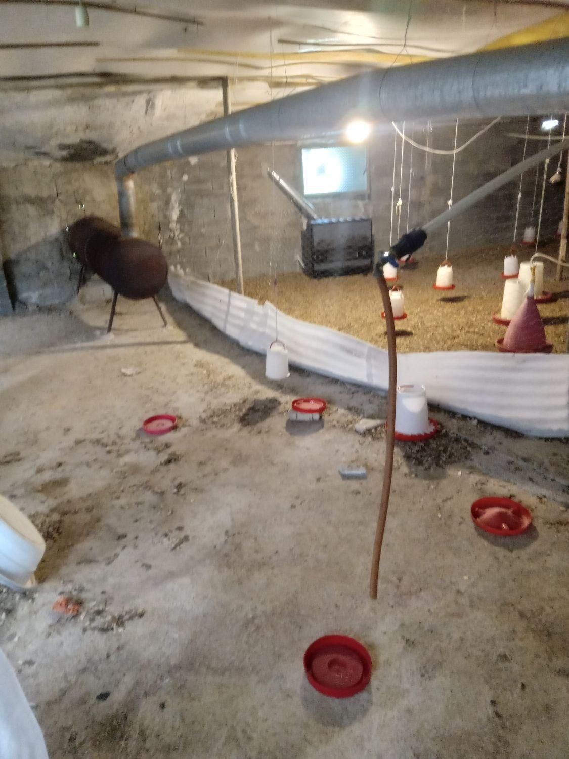 مرغداری اجاره|اجارهٔ دفتر صنعتی، کشاورزی، تجاری|لاهیجان, آهندان|دیوار