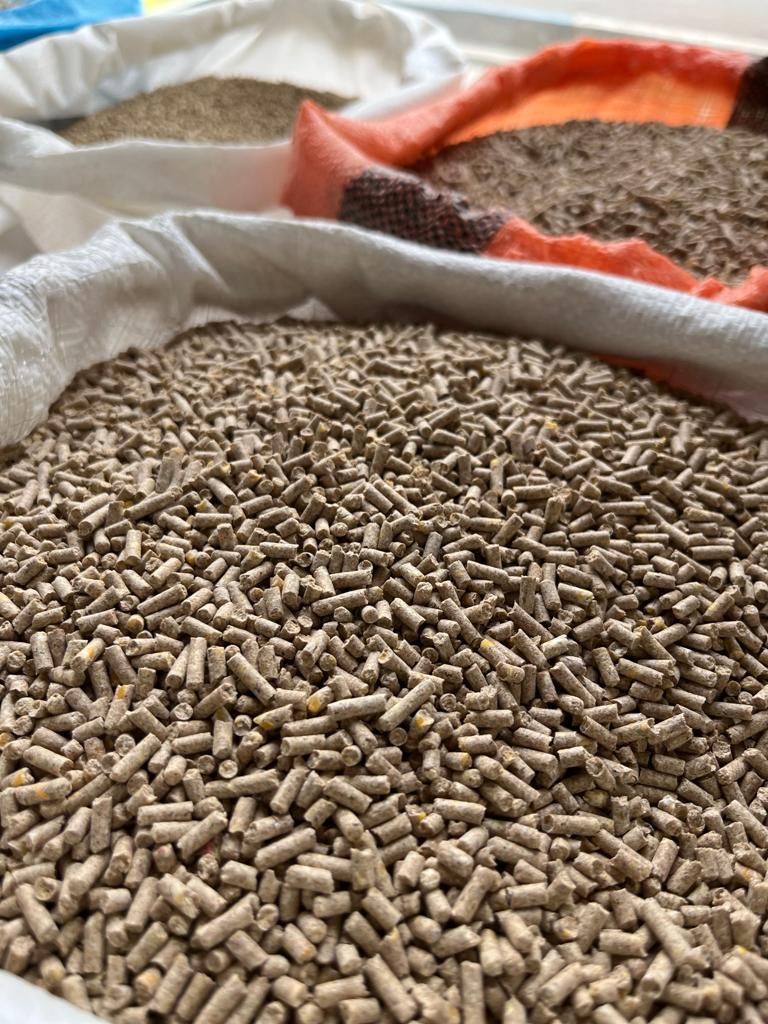 فروش عمده انواع دان مرغ تخمگذار و گوشتی|لوازم جانبی حیوانات|تهران, چیتگر جنوبی|دیوار