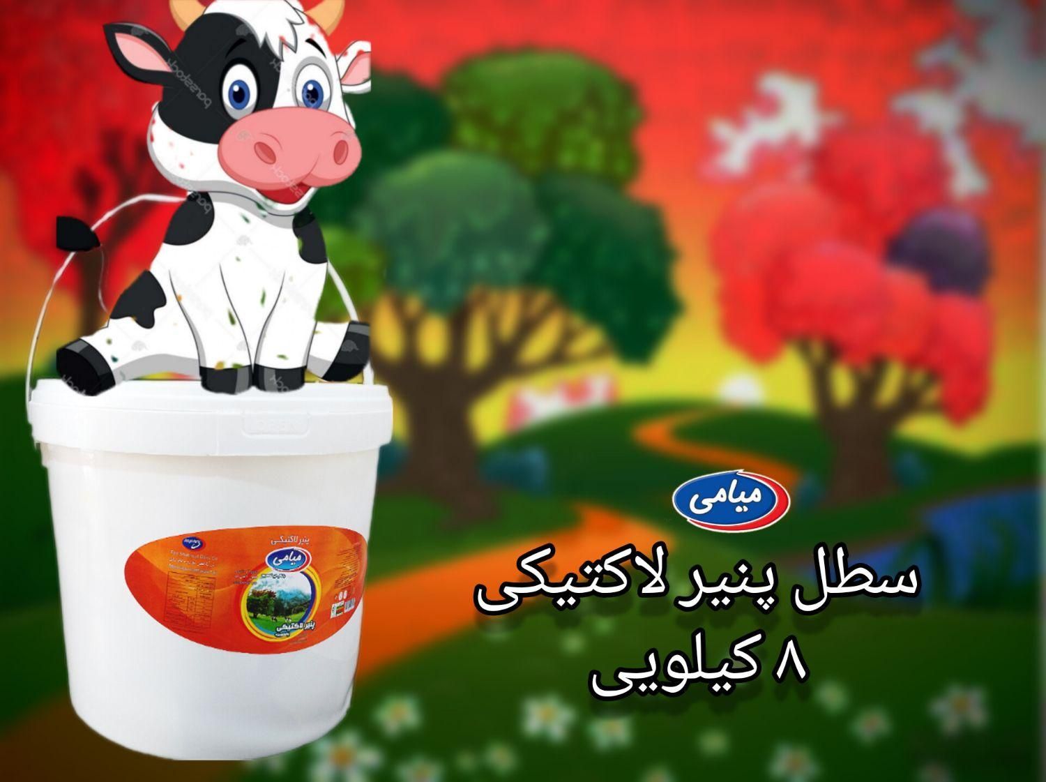 عرضه خامه و پنیر   به صورت مستقیم از کارخانه|خوردنی و آشامیدنی|تهران, خاک سفید|دیوار