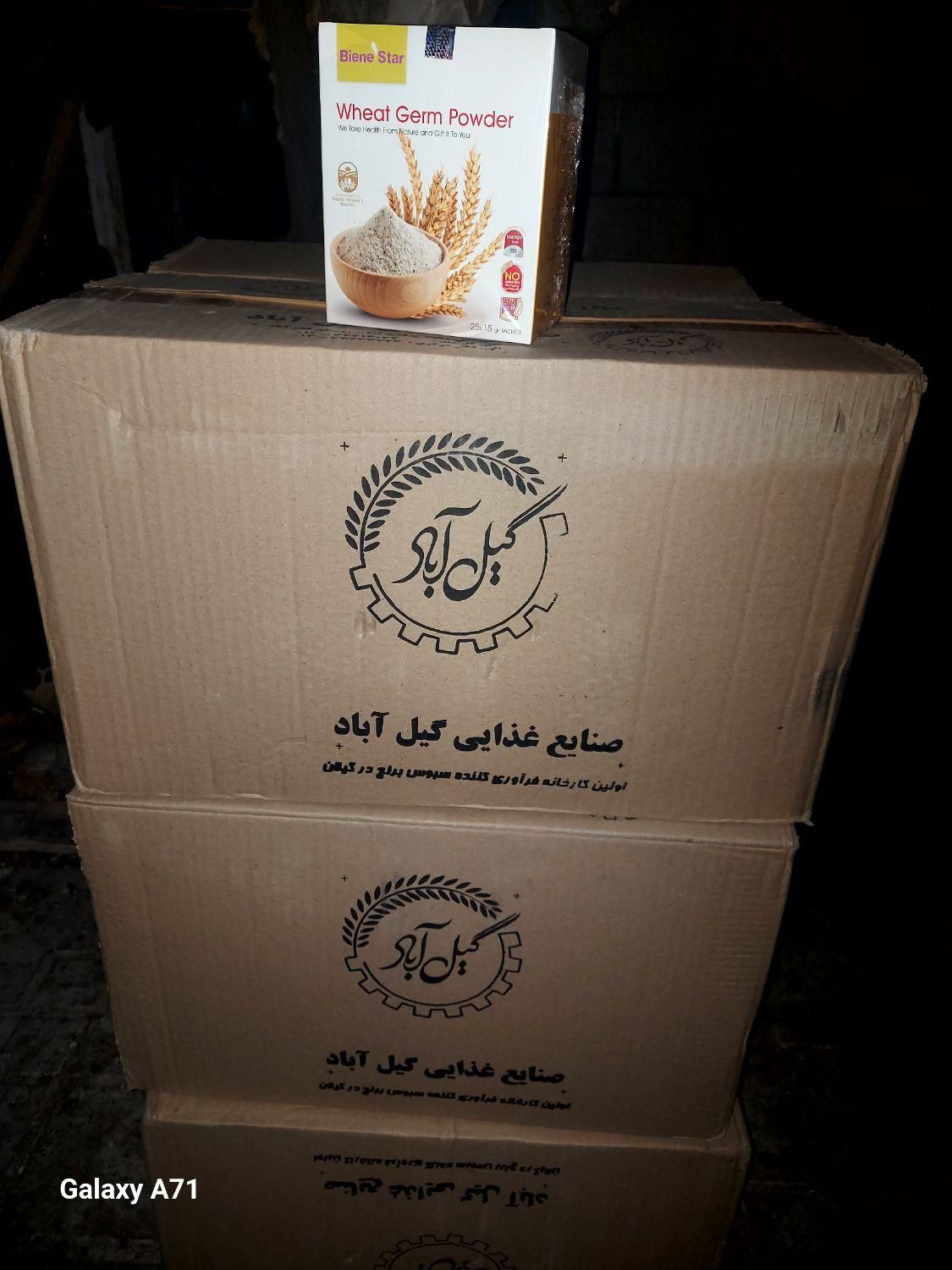 پودر جوانه گندم بین استار متن آگهی بخونید|آرایشی، بهداشتی، درمانی|شیراز, دباغ خانه|دیوار