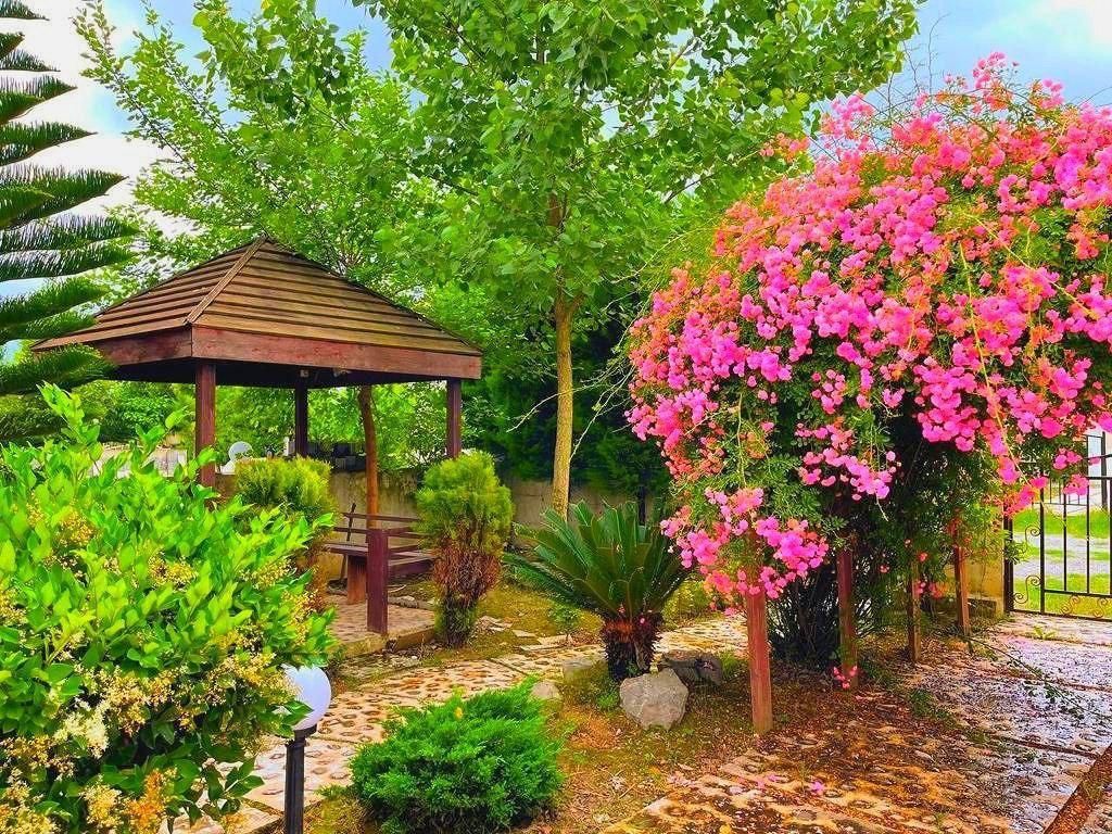 خونه باغ با حیاط سازی زیبا/3خوابه مدارک تکمیل|فروش خانه و ویلا|چمستان, |دیوار