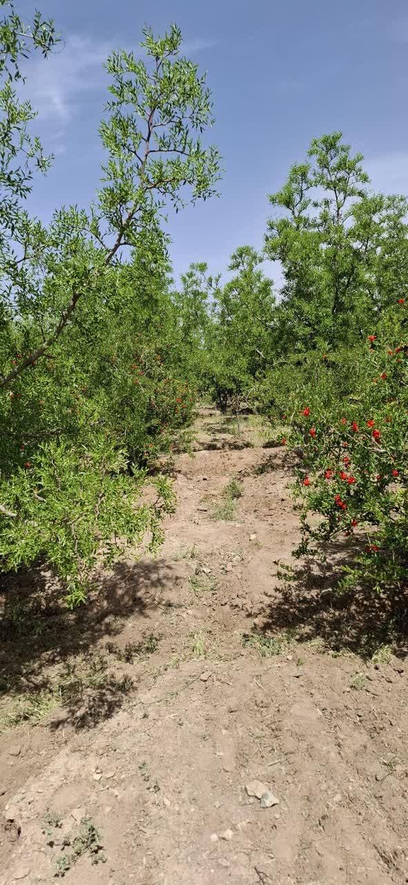 تصویر 3