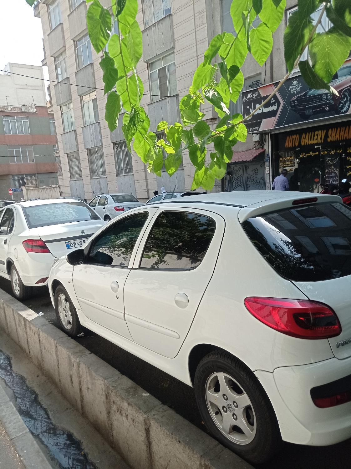 207 فرمان برقی کروز دار مدل 99 اقساط|خودرو سواری و وانت|تهران, جی|دیوار