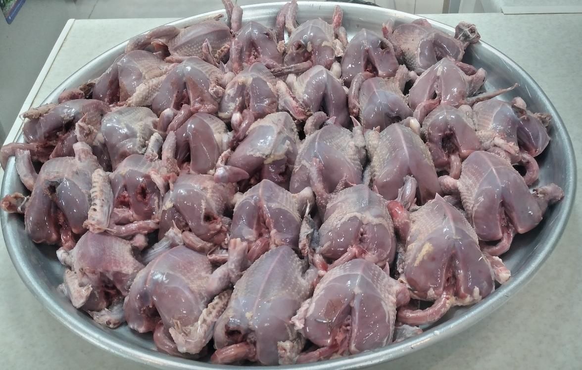 گوشت کبوتر|خوردنی و آشامیدنی|خمینی‌شهر, |دیوار