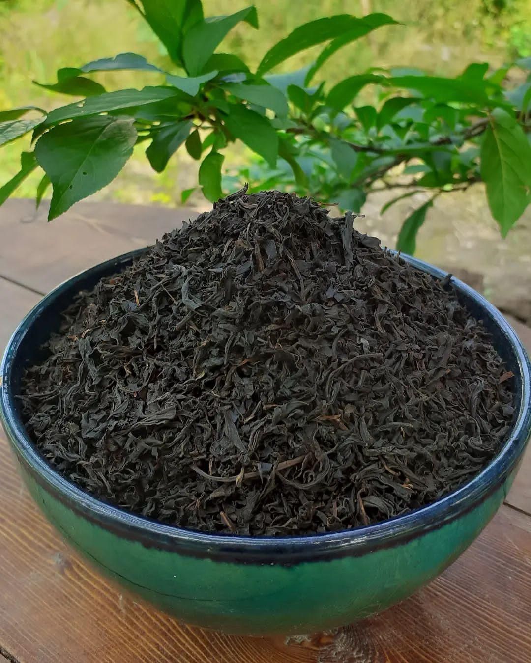 چای بهاره قلم صادراتی کد ۳۴ خاندشت|خوردنی و آشامیدنی|لاهیجان, شیخ زاهد|دیوار