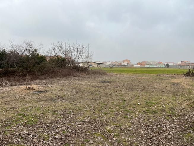 فروش زمین ۴۲۰ متری مازندران|فروش زمین و ملک کلنگی|جویبار, |دیوار