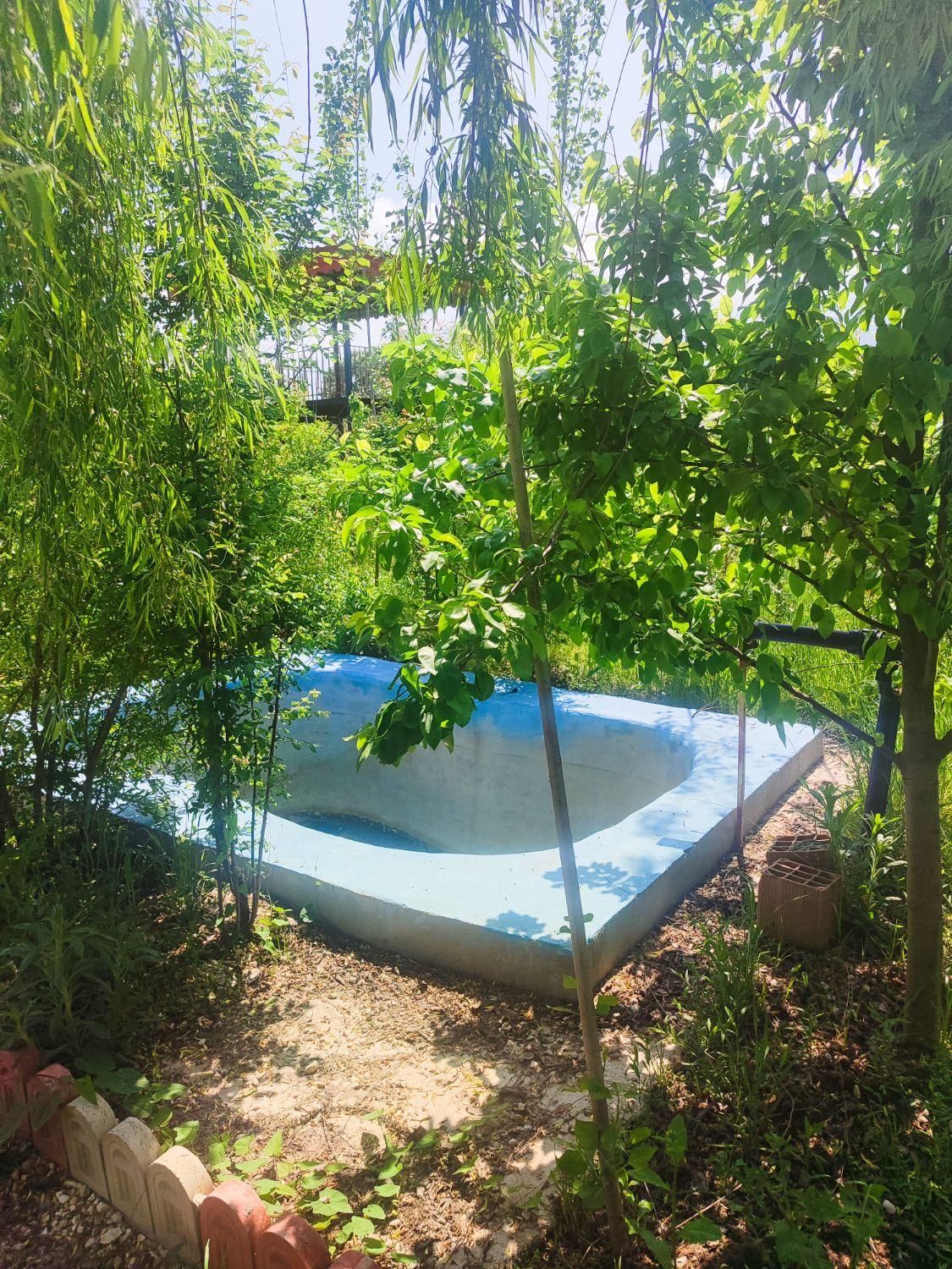 زمین باغ سندتک برگ فول امکانات استخر دار ۴۷۵متر|فروش زمین و ملک کلنگی|گرگان, |دیوار