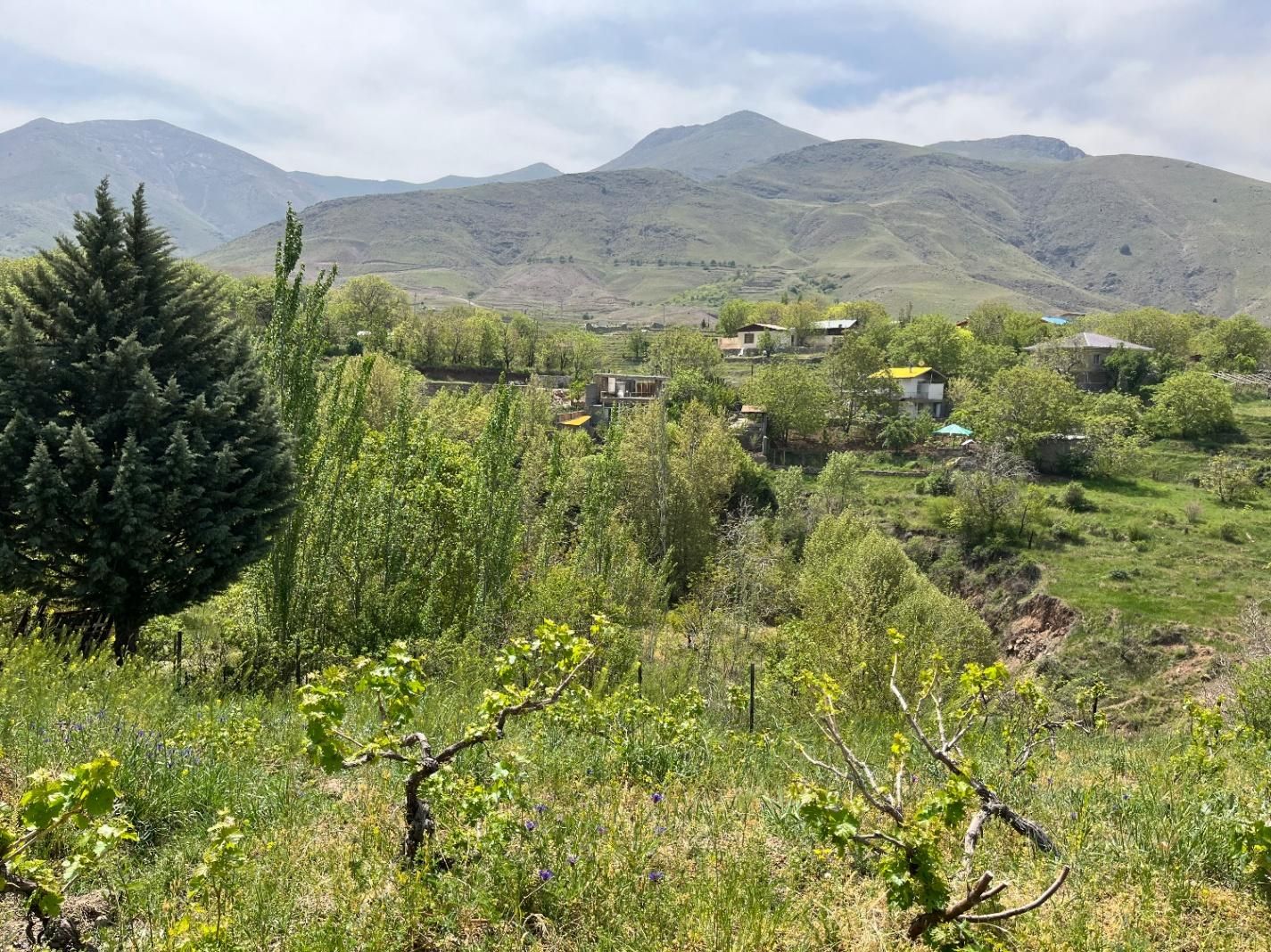 فروش ویژه باغ- در طالقان روستای آقچری (سند تک برگ)|فروش زمین و ملک کلنگی|طالقان, |دیوار
