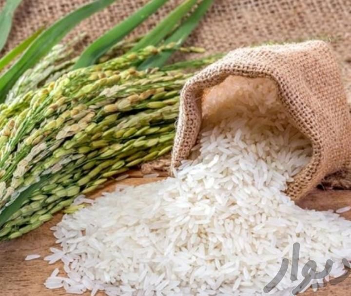 برنج هاشمی صد در صد اصل|خوردنی و آشامیدنی|کرج, شهرک وحدت|دیوار