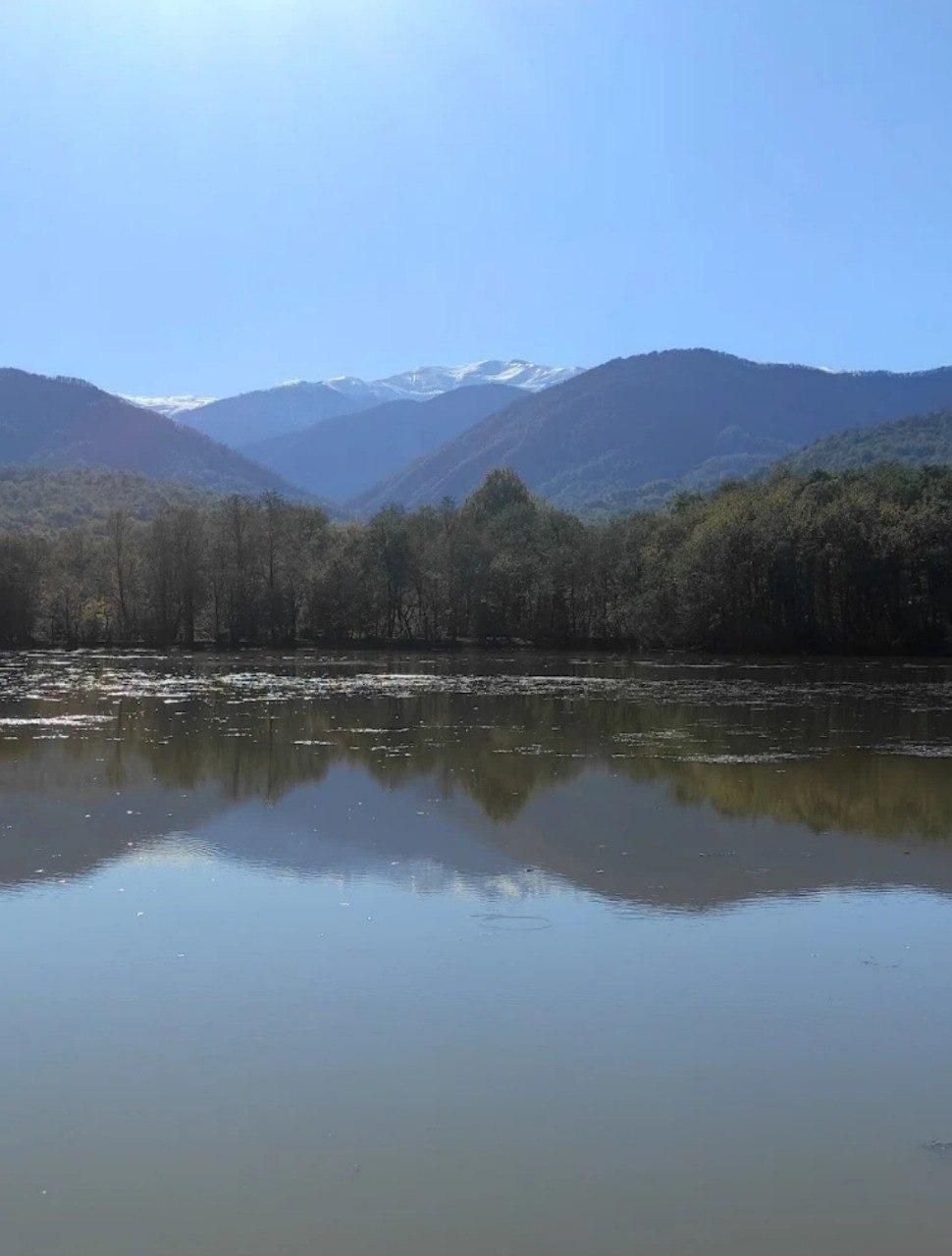 ویلایی جنگلی فوق العاده تمیز باتخفیف ویژه|اجارهٔ کوتاه‌مدت ویلا و باغ|چمستان, |دیوار