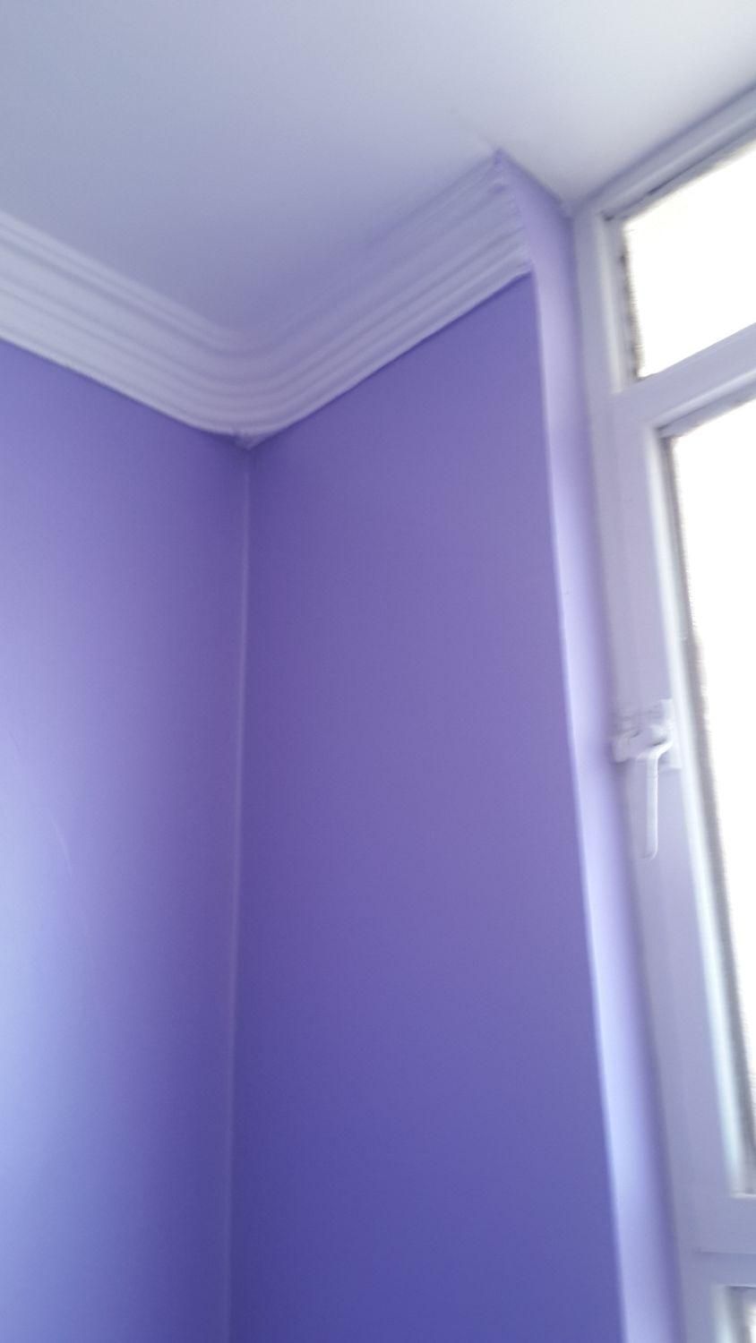 رنگ آمیزی ساختمان|خدمات پیشه و مهارت|بندر ماهشهر, |دیوار