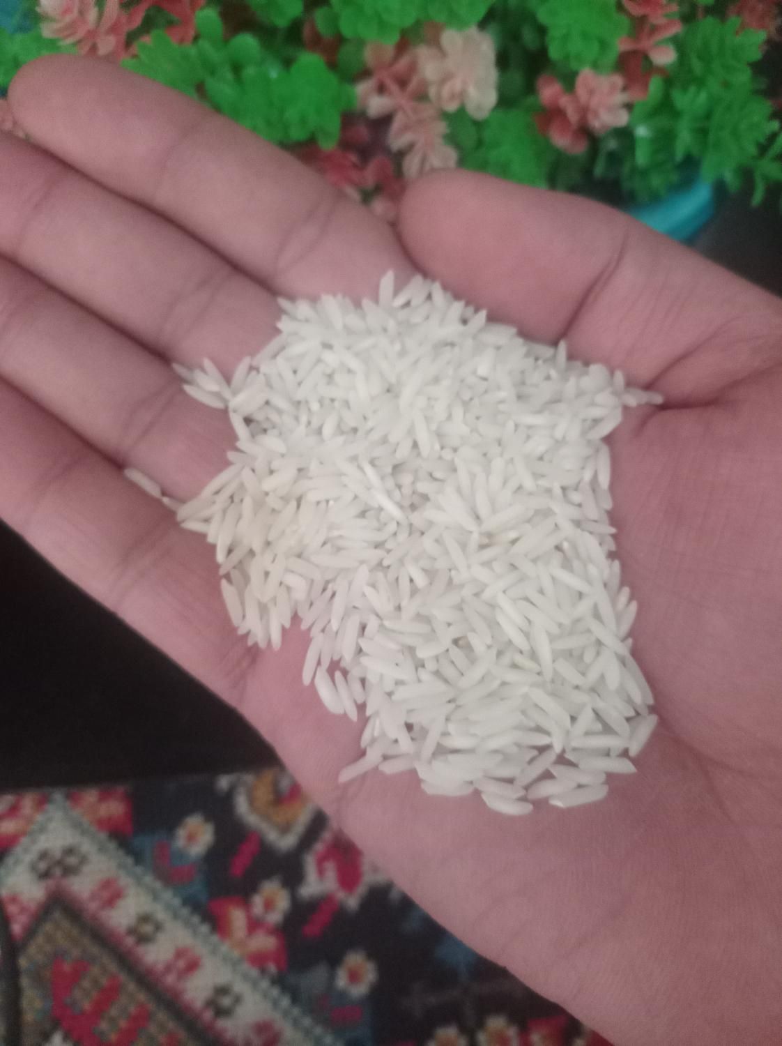 برنج هاشمی|خوردنی و آشامیدنی|لاهیجان, بازکیاگوراب|دیوار