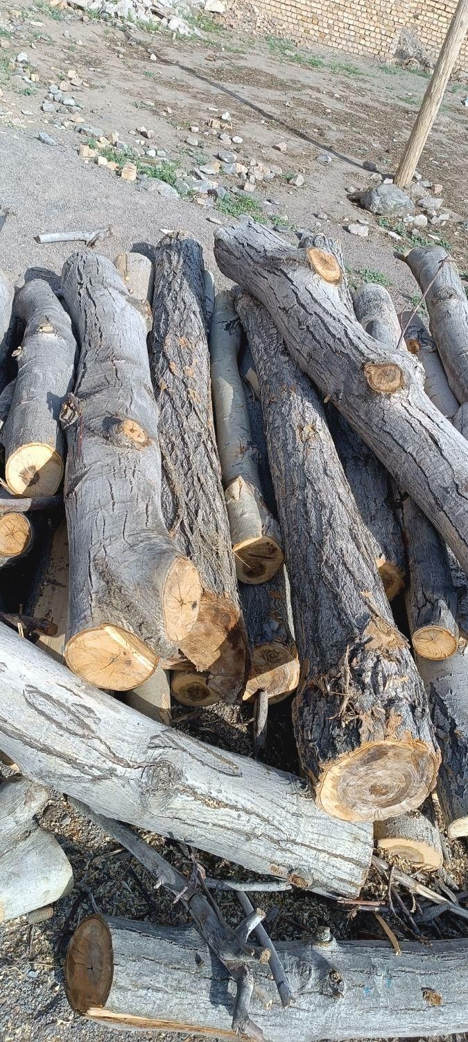 خرید انواع چوب باغی وخانه و....باقیمت بالا|خدمات باغبانی و درختکاری|نیشابور, شهید بهشتی|دیوار