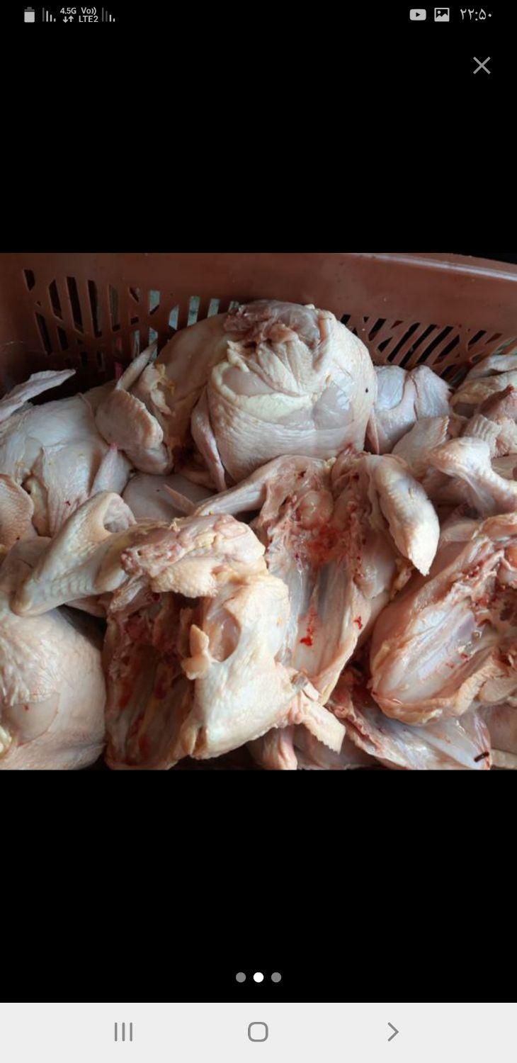 مرغ سینه فیله ران|خوردنی و آشامیدنی|تهران, گرگان|دیوار