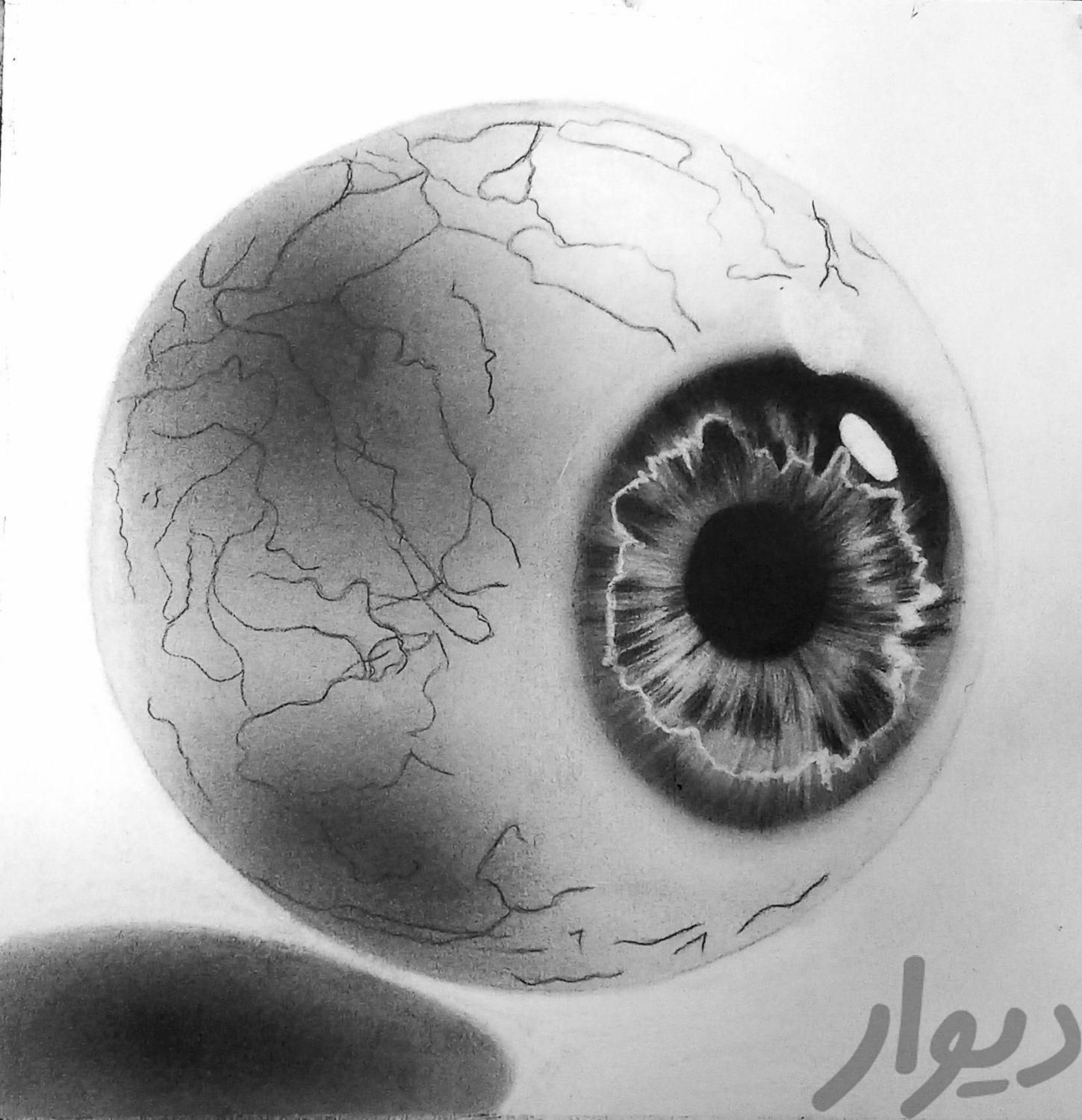 نقاشی سیاه قلم کره ی چشم|تابلو، نقاشی و عکس|تهران, کوهک|دیوار