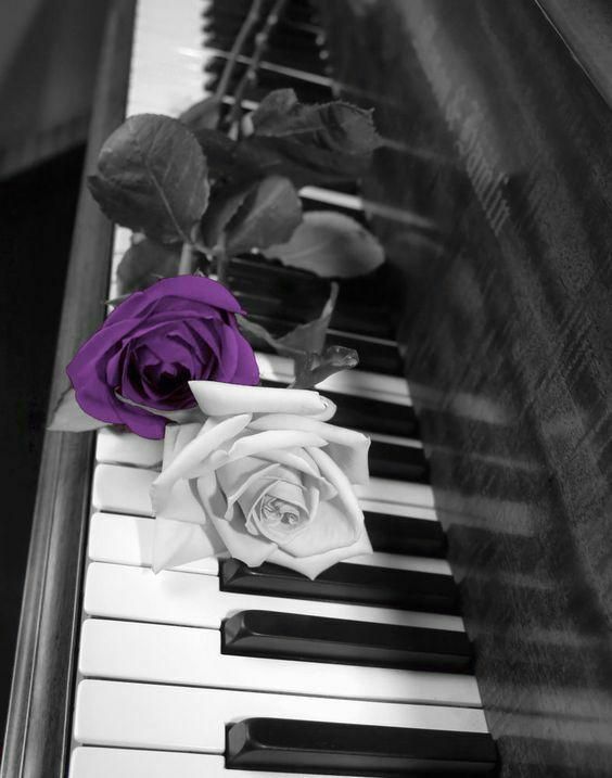 آموزش حضوری و آنلاین پیانو|خدمات آموزشی|نیشابور, |دیوار