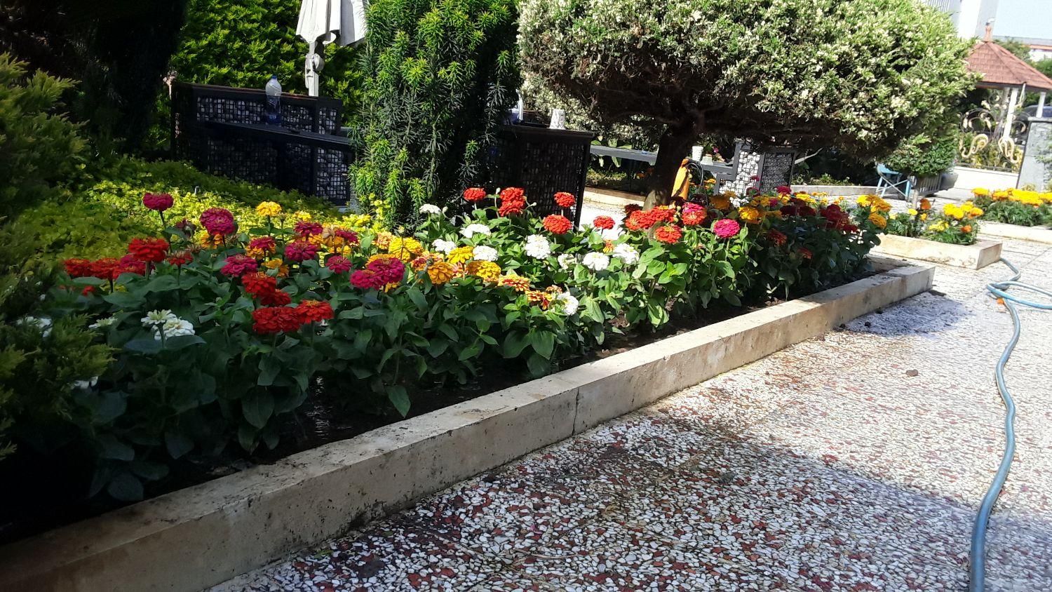 خدمات باغبانی|خدمات باغبانی و درختکاری|نوشهر, |دیوار