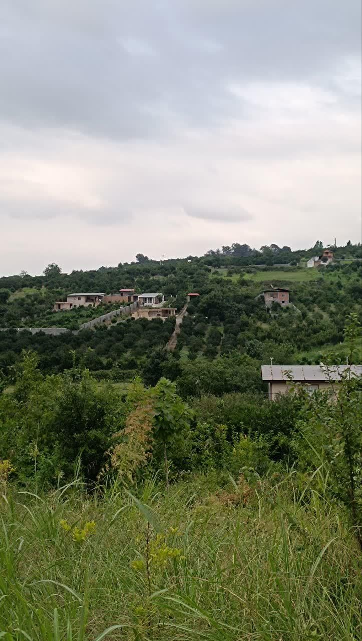 ۳۵۰ متر زمین بزچفت بابلکنار|فروش زمین و ملک کلنگی|بابل, |دیوار