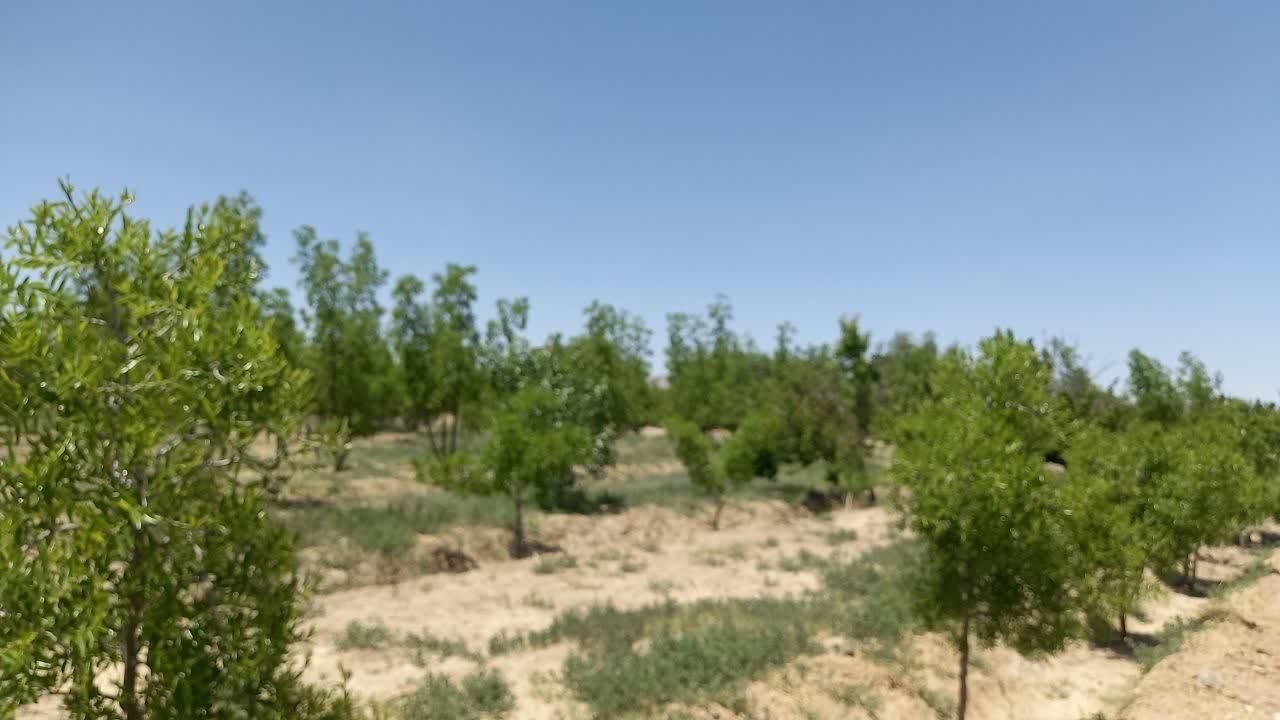 تصویر 8