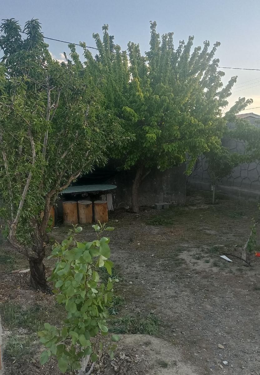 فروش باغ ویلا ۱۰۰۰ متری دولت اباد(بین کاهو وگلمکان|فروش زمین و ملک کلنگی|مشهد, استاد یوسفی (شهرک غرب)|دیوار