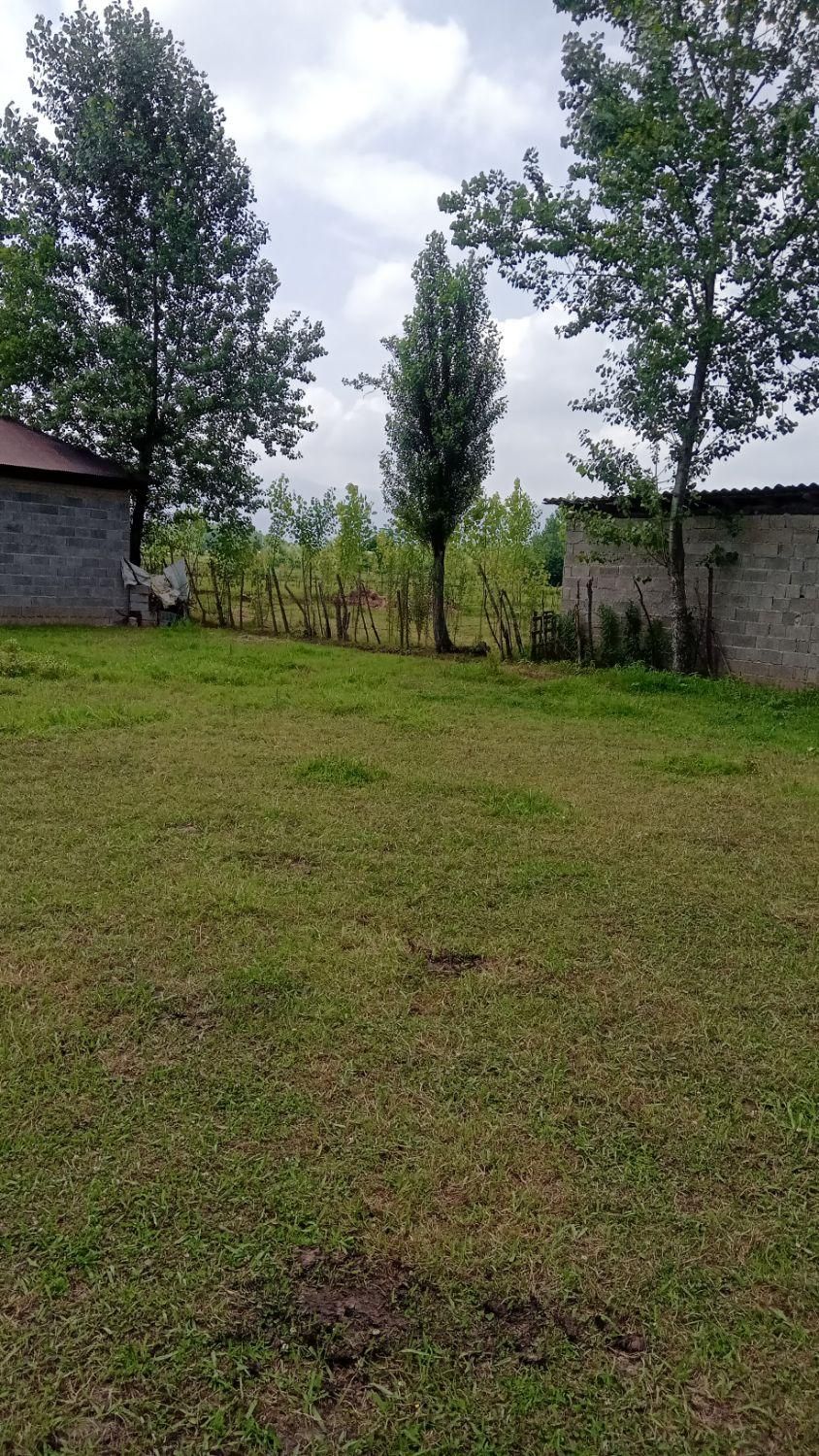 ۱۰۰۰متر کامل مسکونی درروستای پشتمخ گورابزرمیخ|فروش زمین و ملک کلنگی|گوراب زرمیخ, |دیوار