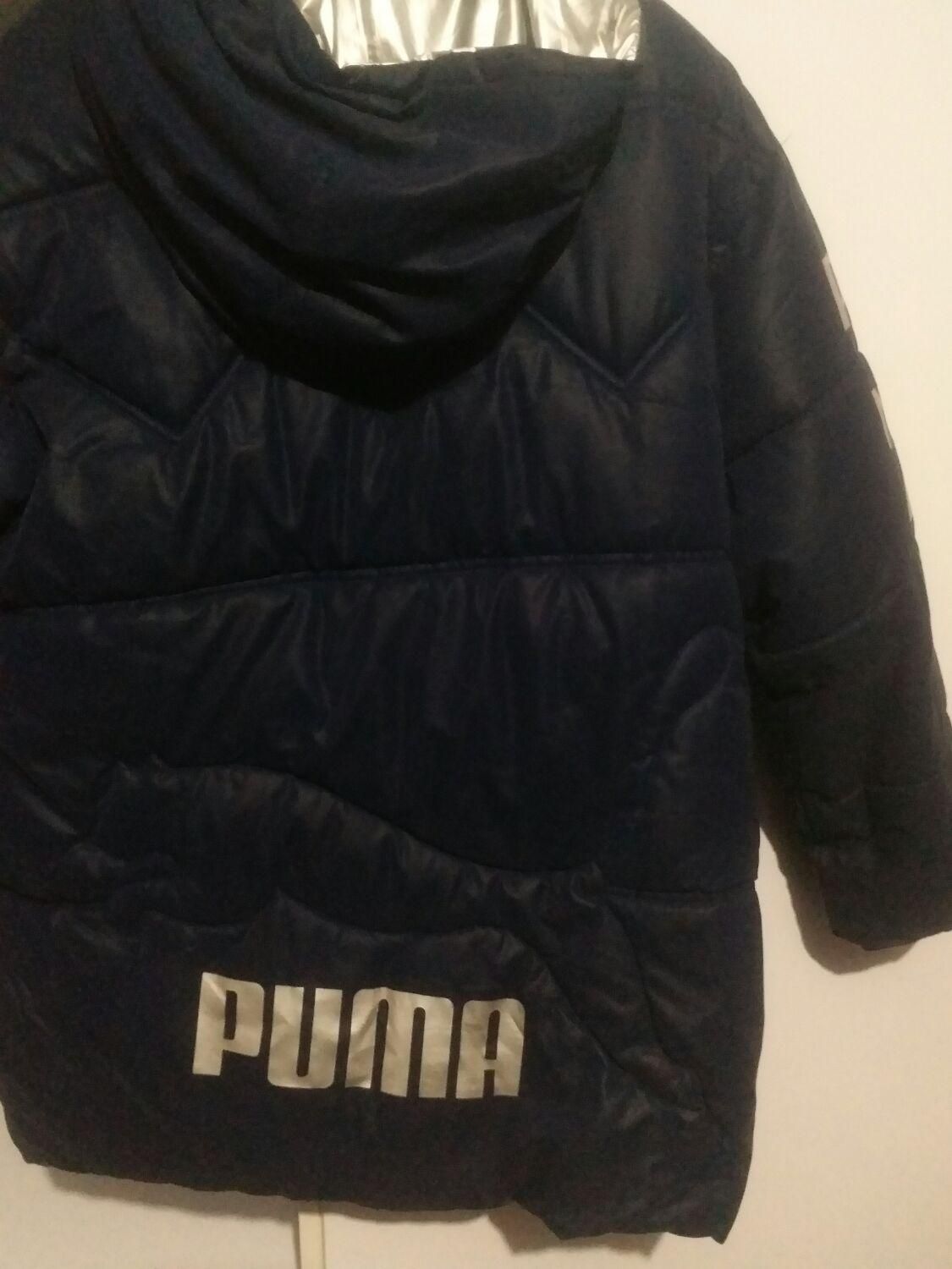 کاپشن اصل  puma|لباس|تبریز, |دیوار