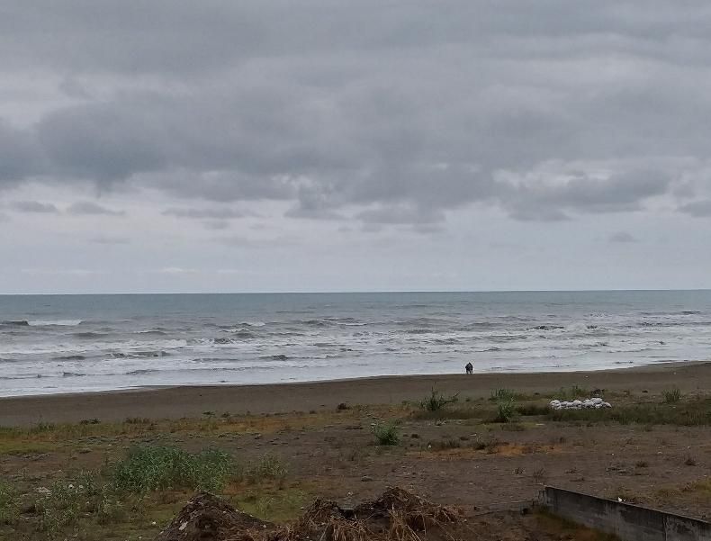 فروش آپارتمان ۱۳۰متری ساحلی باویوی ابدی|پیش‌فروش املاک|فریدون‌کنار, |دیوار