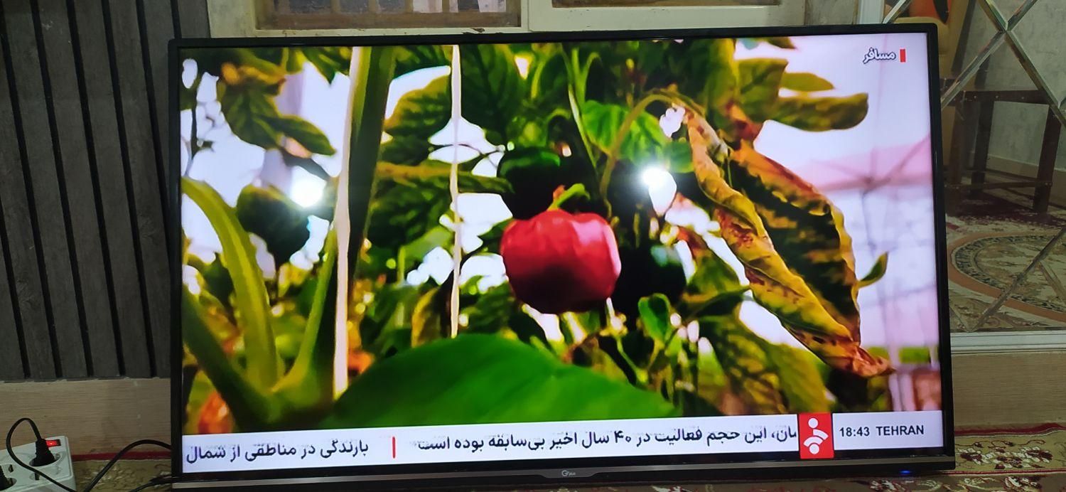 تلویزیون جی پلاس 50اینچ|تلویزیون و پروژکتور|بهبهان, |دیوار