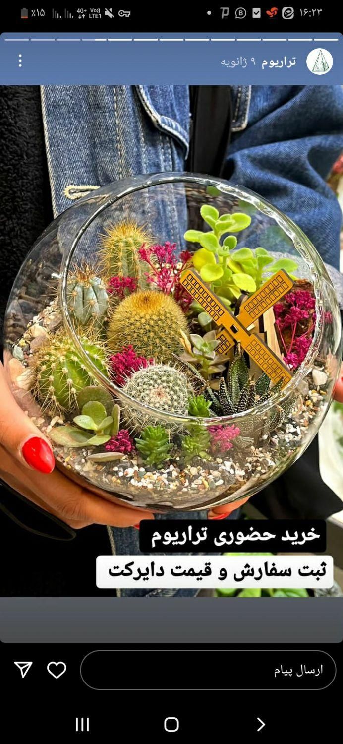 تولید وپخش تراریوم به صورت تخصصی و حرفه ایی|گل و گیاه طبیعی|اصفهان, خواجو|دیوار