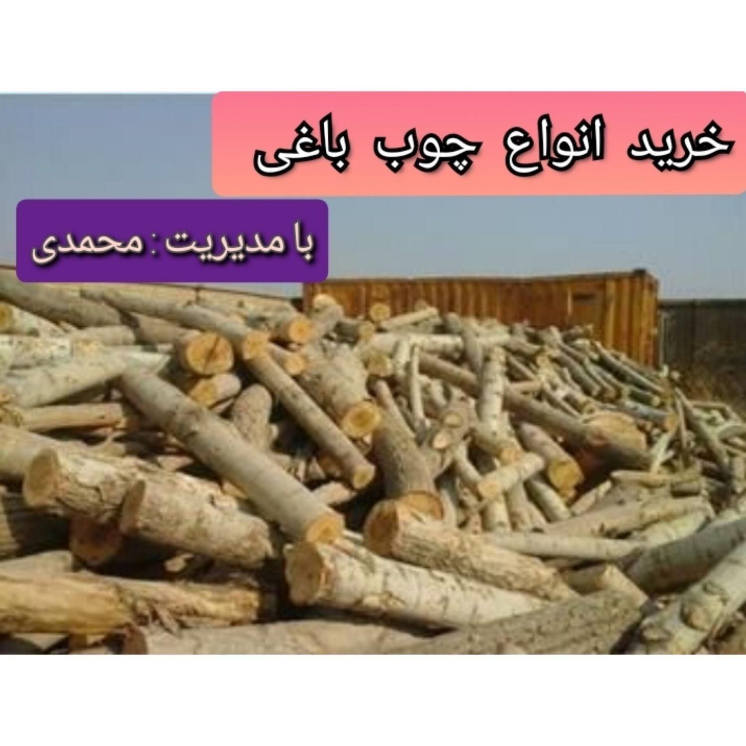 خرید و برش انواع چوب باغی|خدمات باغبانی و درختکاری|کرج, کمال‌شهر|دیوار