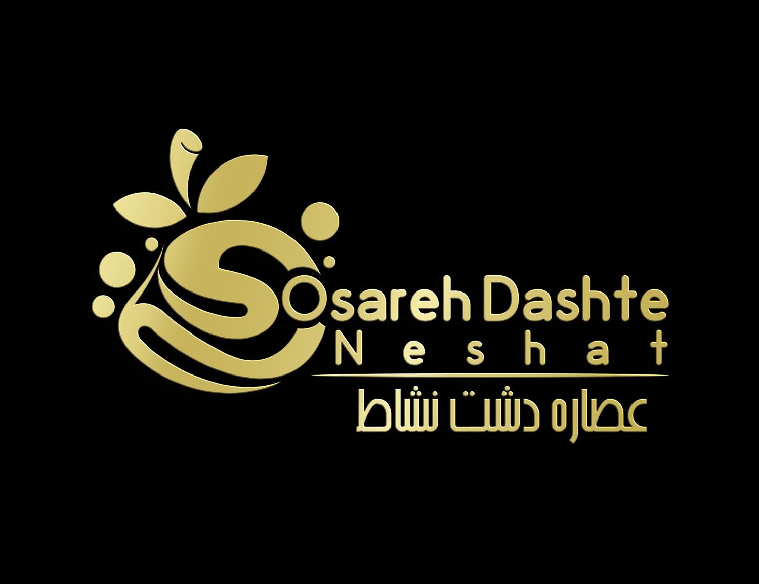 شرکت طراحی لوگو ، طراحی گرافیکی|خدمات رایانه‌ای و موبایل|ارومیه, |دیوار