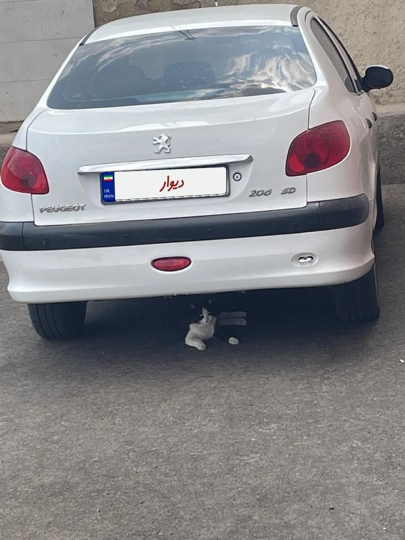 پژو 206 SD V8، مدل ۱۳۹۹|خودرو سواری و وانت|سمنان, |دیوار
