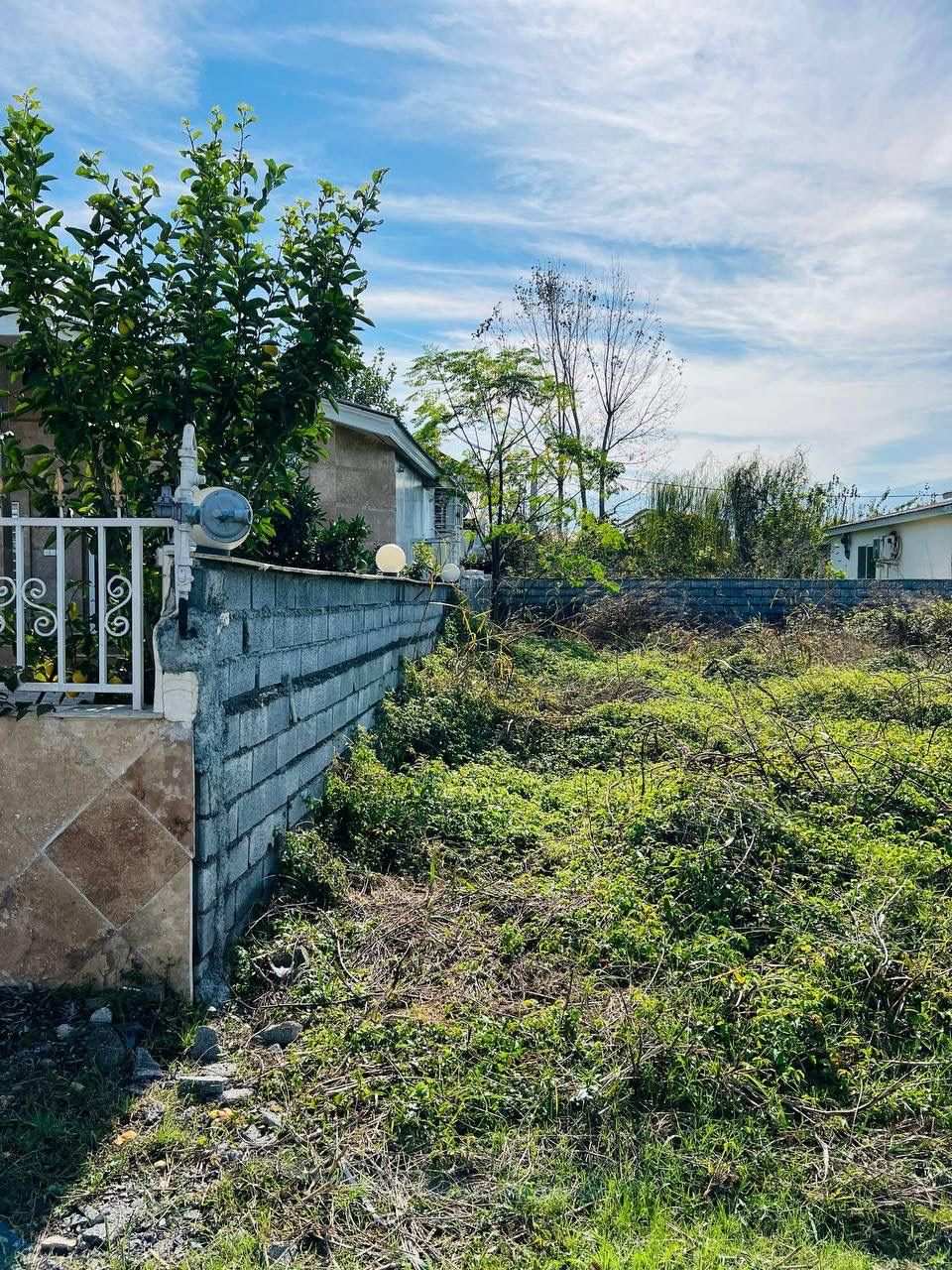 زمین قابل ساخت/۱۵۰متر به بالا/تک برگ/|فروش زمین و ملک کلنگی|نور, |دیوار