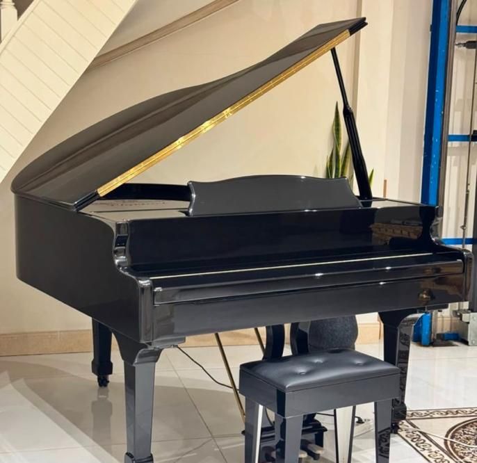 پیانو گرند دیجیتال|پیانو، کیبورد، آکاردئون|شیراز, رازی|دیوار