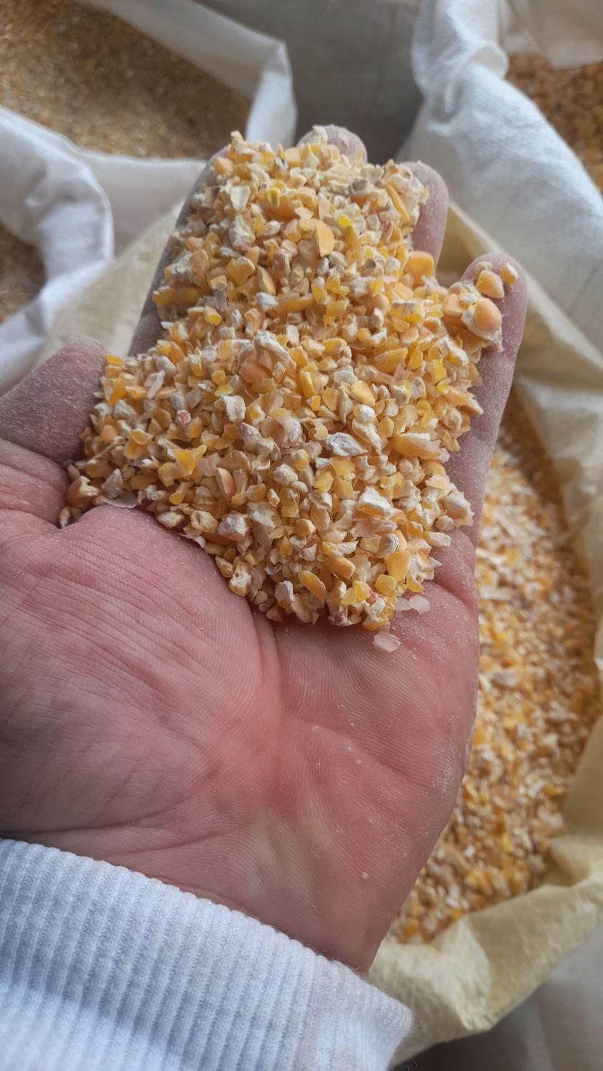 دان پروتئین بالا مرغ تخمگذار اقتصادی|لوازم جانبی حیوانات|تهران, شهرک استقلال|دیوار