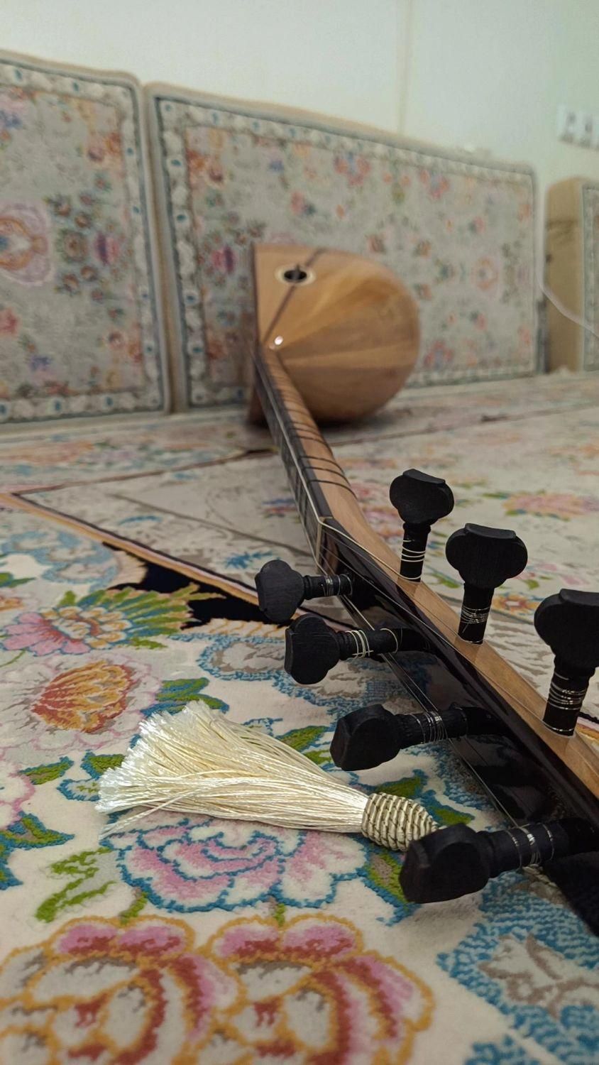 ساز باغلاما آکبند|سازهای سنتی|مهاباد (آذربایجان غربی), |دیوار