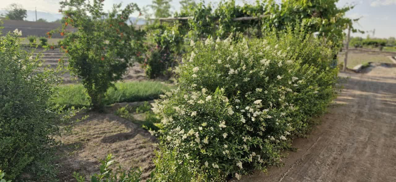 اصفهان.دستگردخیارخ.باغ فردس.فروش زمین ۳۴۰ متری|فروش زمین و ملک کلنگی|اصفهان, قائمیه|دیوار