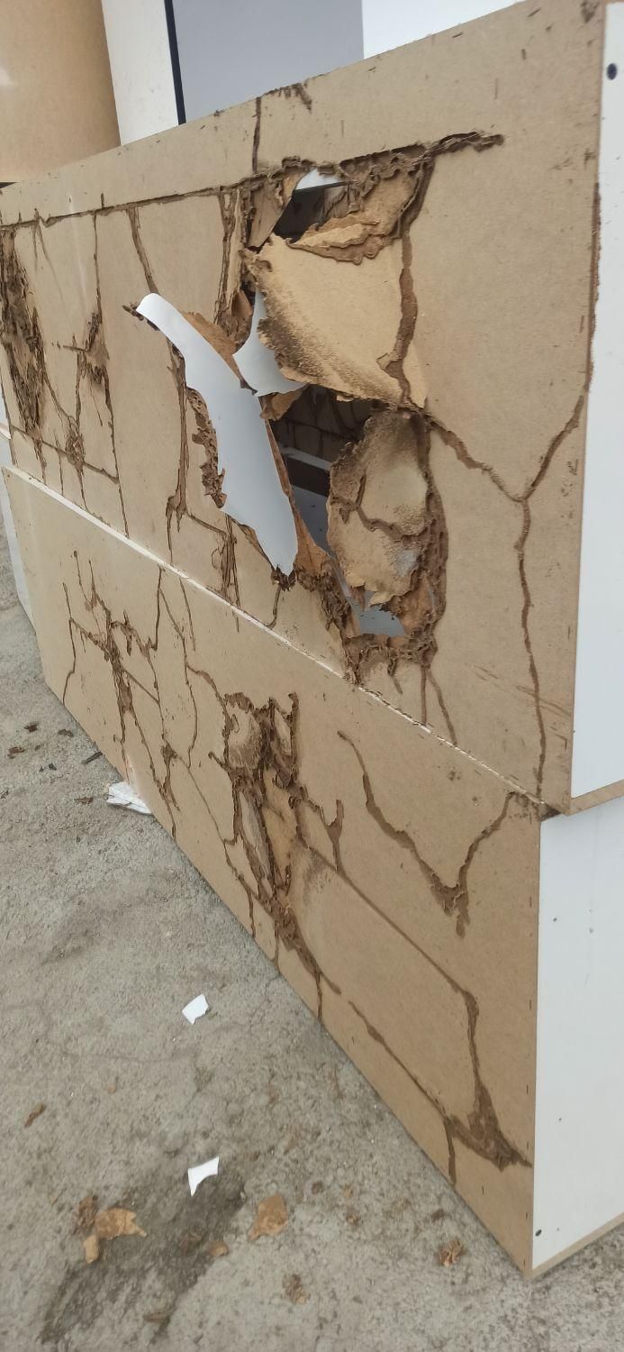 شرکت موریانه زدایی و سم پاشی با ضمانت نامه کتبی|خدمات نظافت|خرمآباد, |دیوار