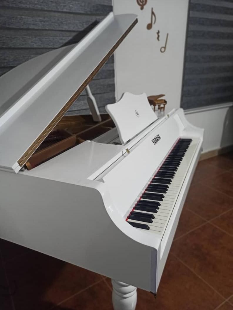 پیانو گرند مخصوص فضای بزرگ و لوکس|پیانو، کیبورد، آکاردئون|تهران, جمهوری|دیوار